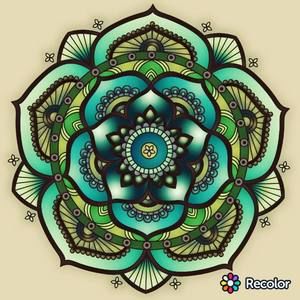 Meet your Posher, Donna